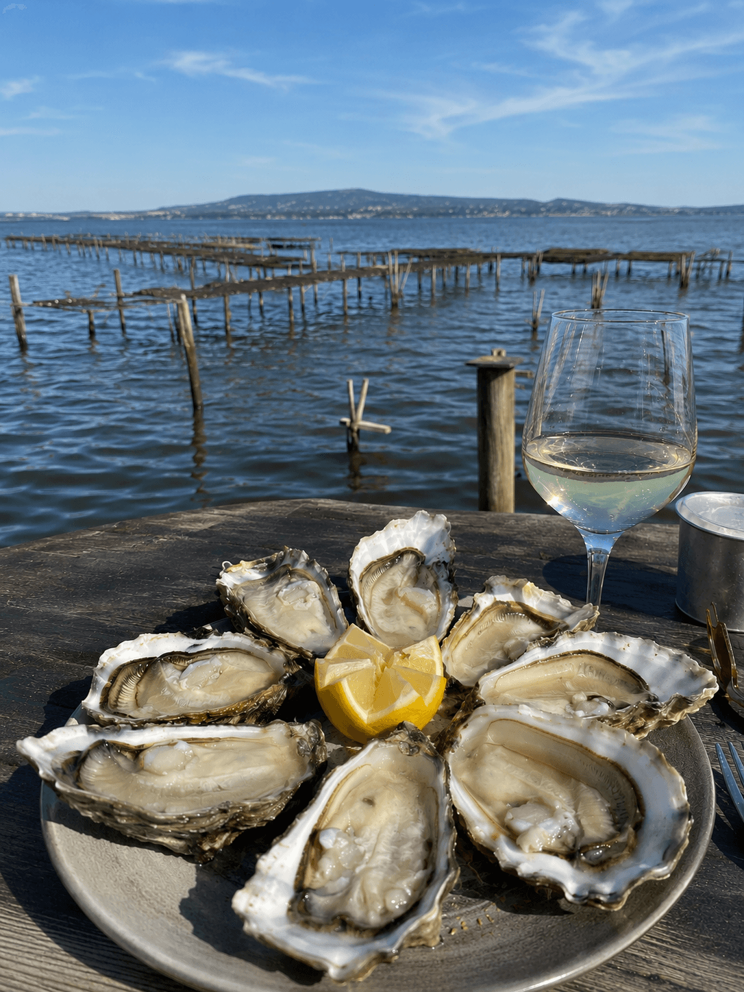 Étang de Thau, oysters and the lagoon