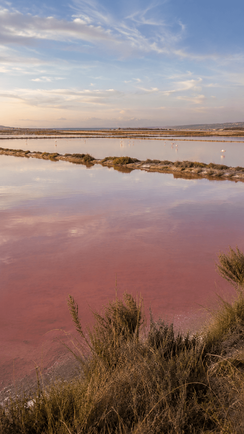 Gruissan salt marshes and coastline